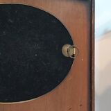 3 frames of dried flowers in curved glass