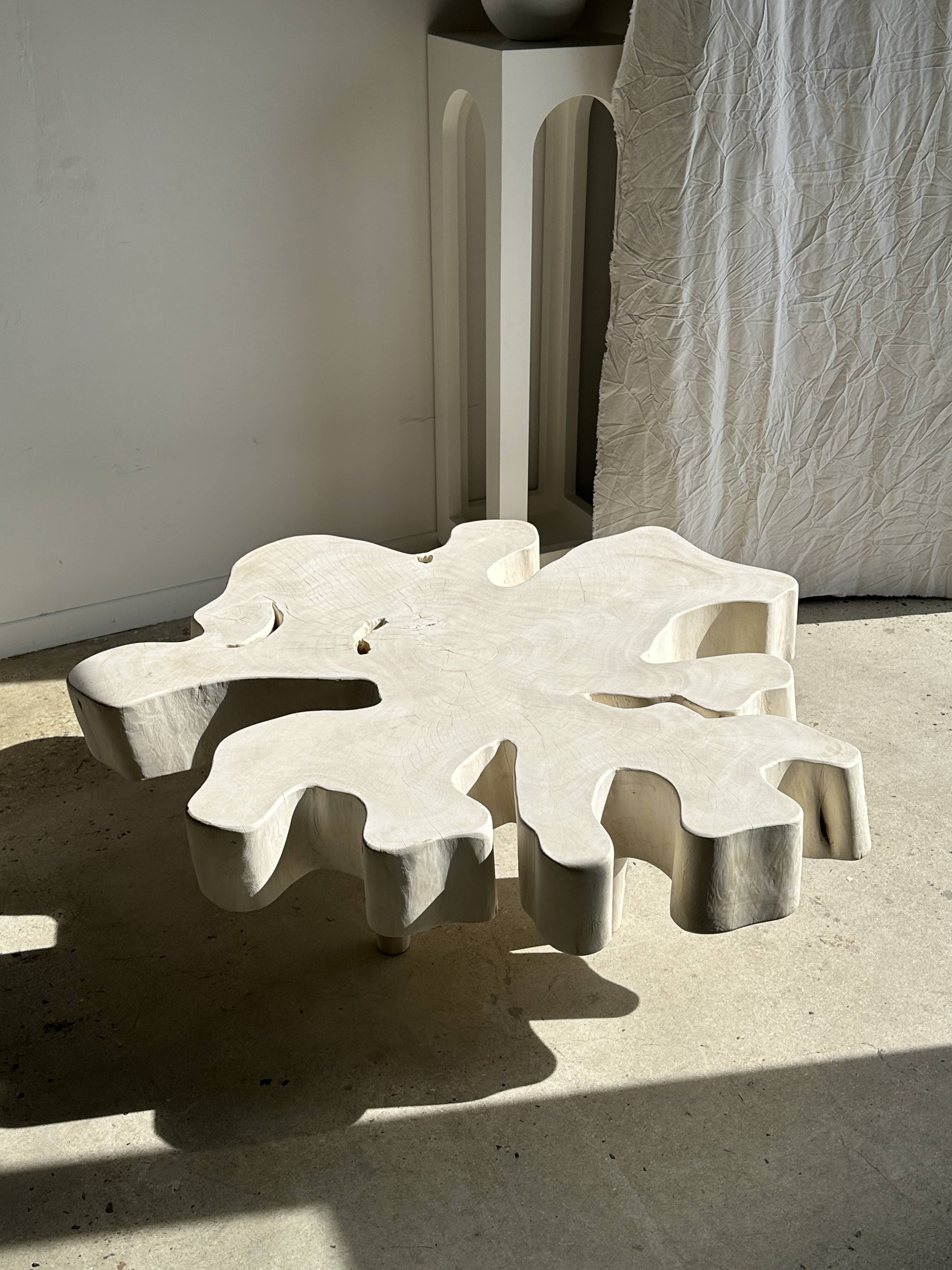 Very large whitewashed mango coffee table with an organic top D:140cm