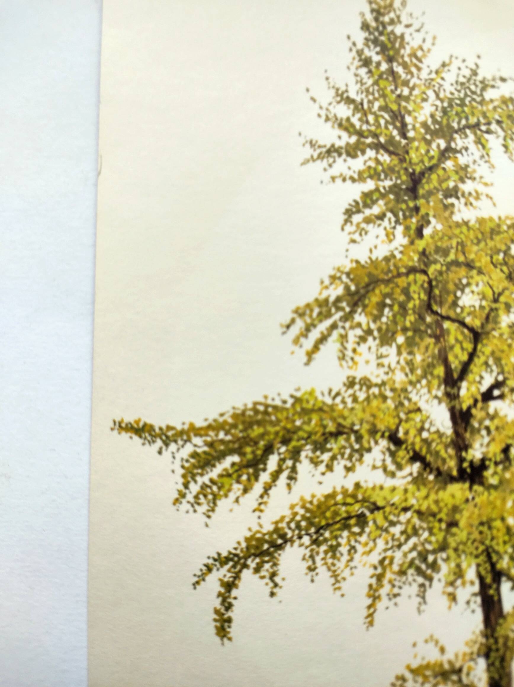 Illustration of the 40-crest tree - Vintage Botanical Nature Plate