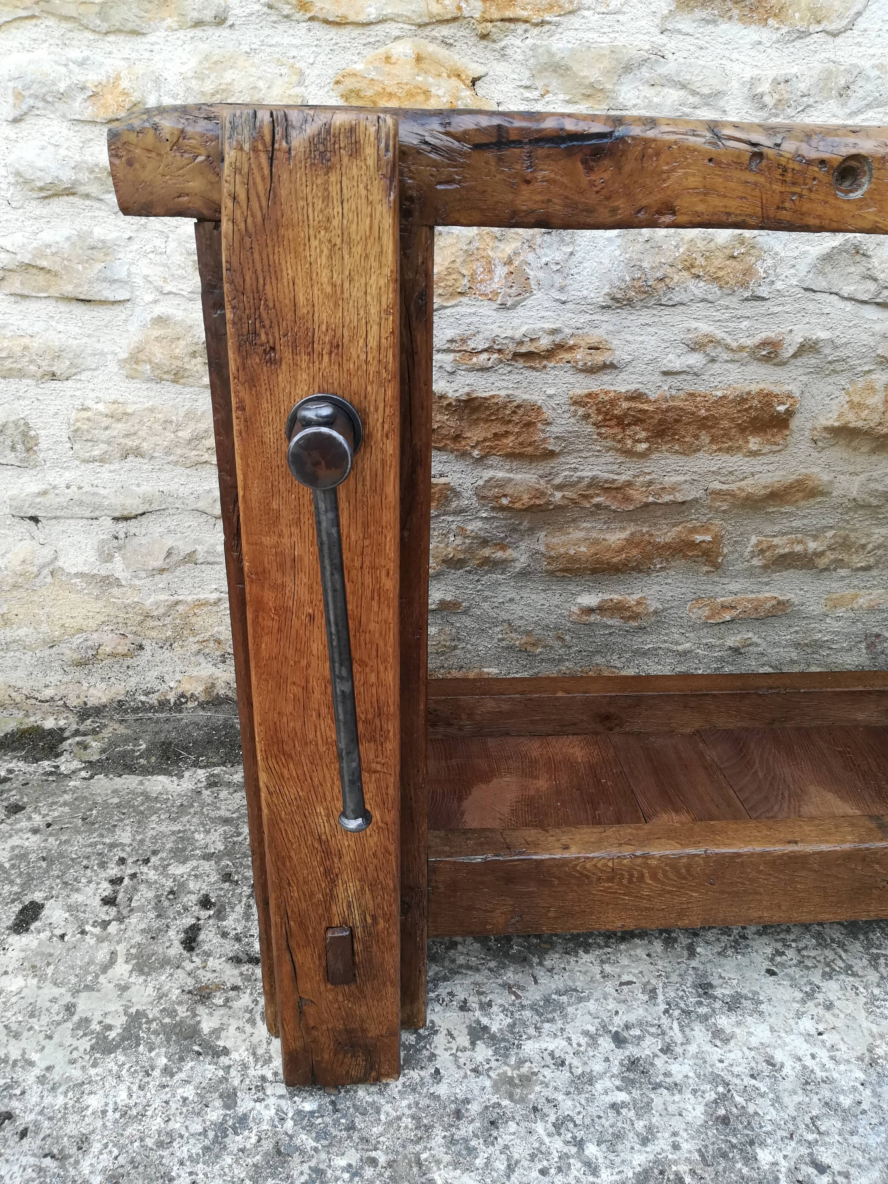 Established in elm and oak