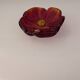 Red daum bowl
