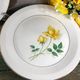 6 assiettes plates blanches rose jaune Moulin des loups Orchies
