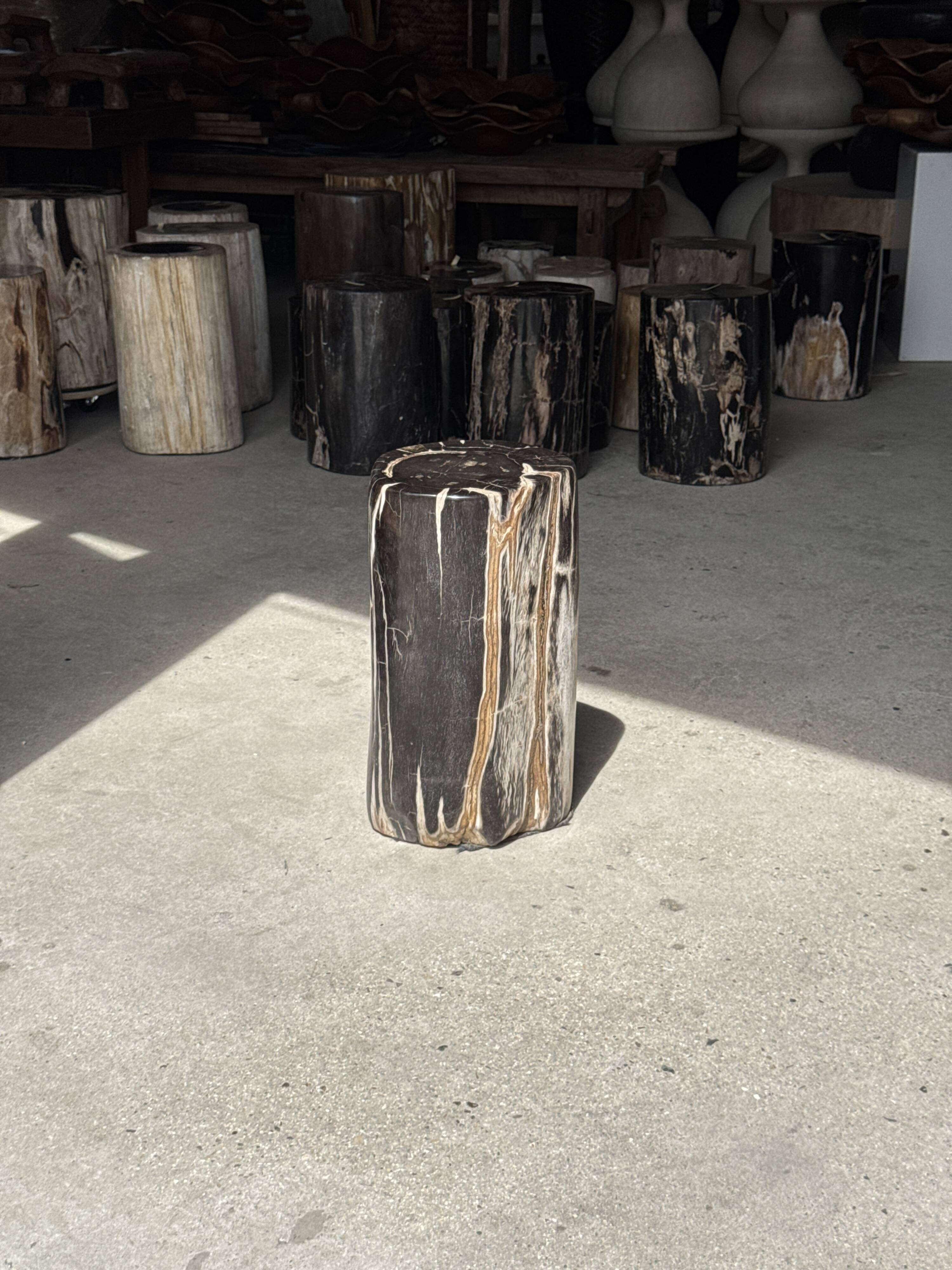 Table d'appoint en bois pétrifié noir