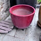 Glazed ceramic flower pots – perfect for terrace or garden.
