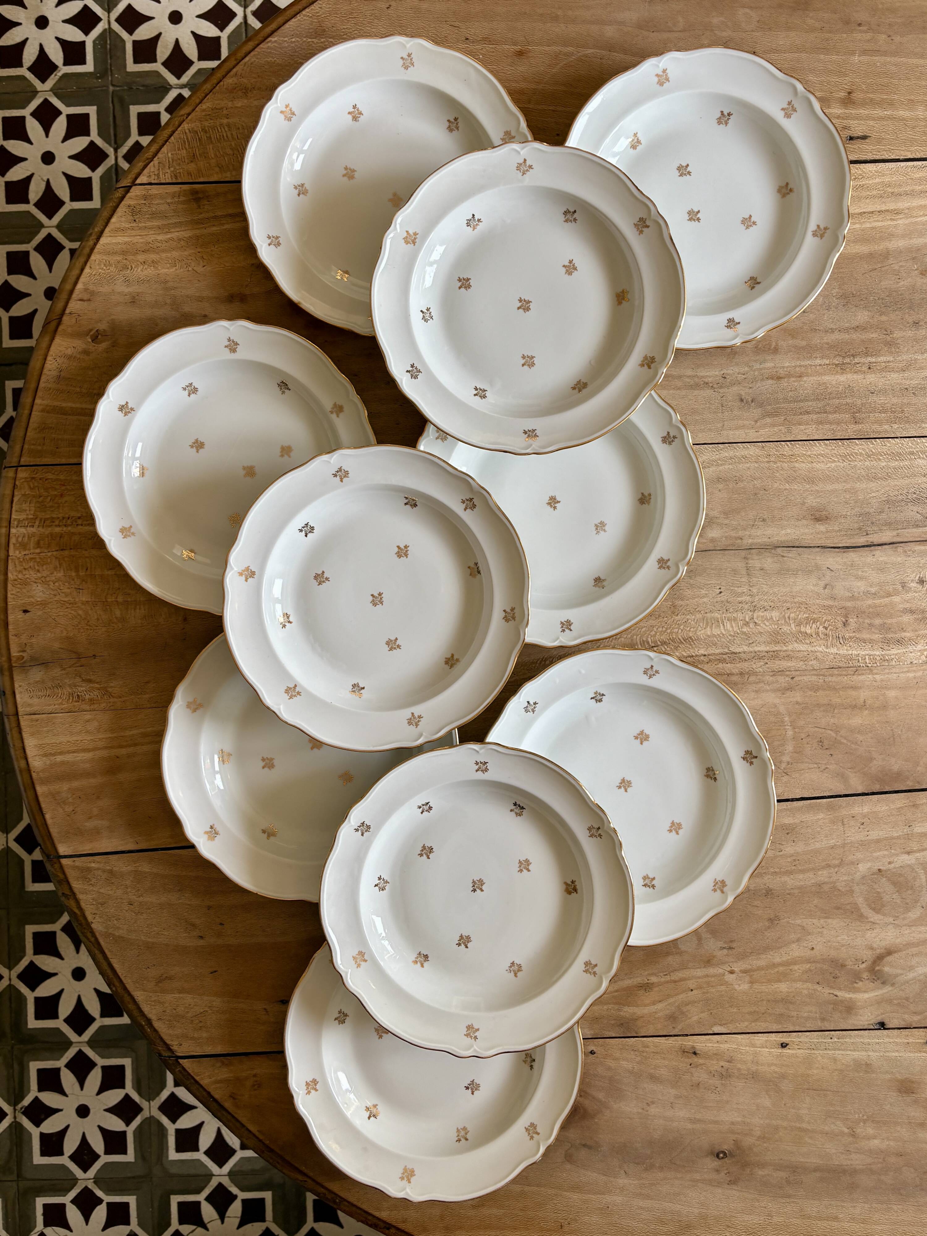 Set of 10 vintage Limoges porcelain soup plates