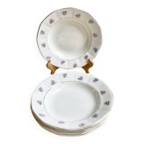 6 Digoin soup plates