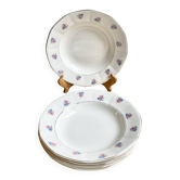 6 Digoin soup plates