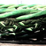Fruit cut in green braided bubble