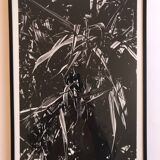 Rosine NUSIMOVICI, Untitled (Poacea I), 1980. Black and white silver print