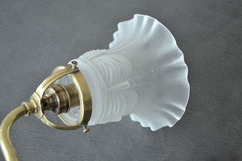 Brass gooseneck wall lamp and tulip lampshade