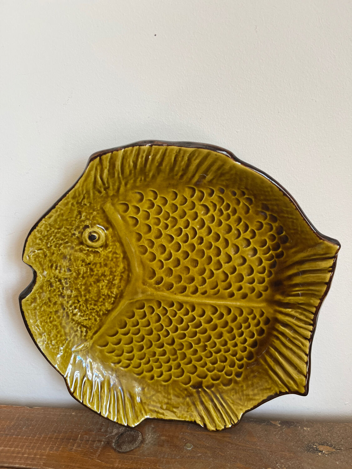 Deep plate fish