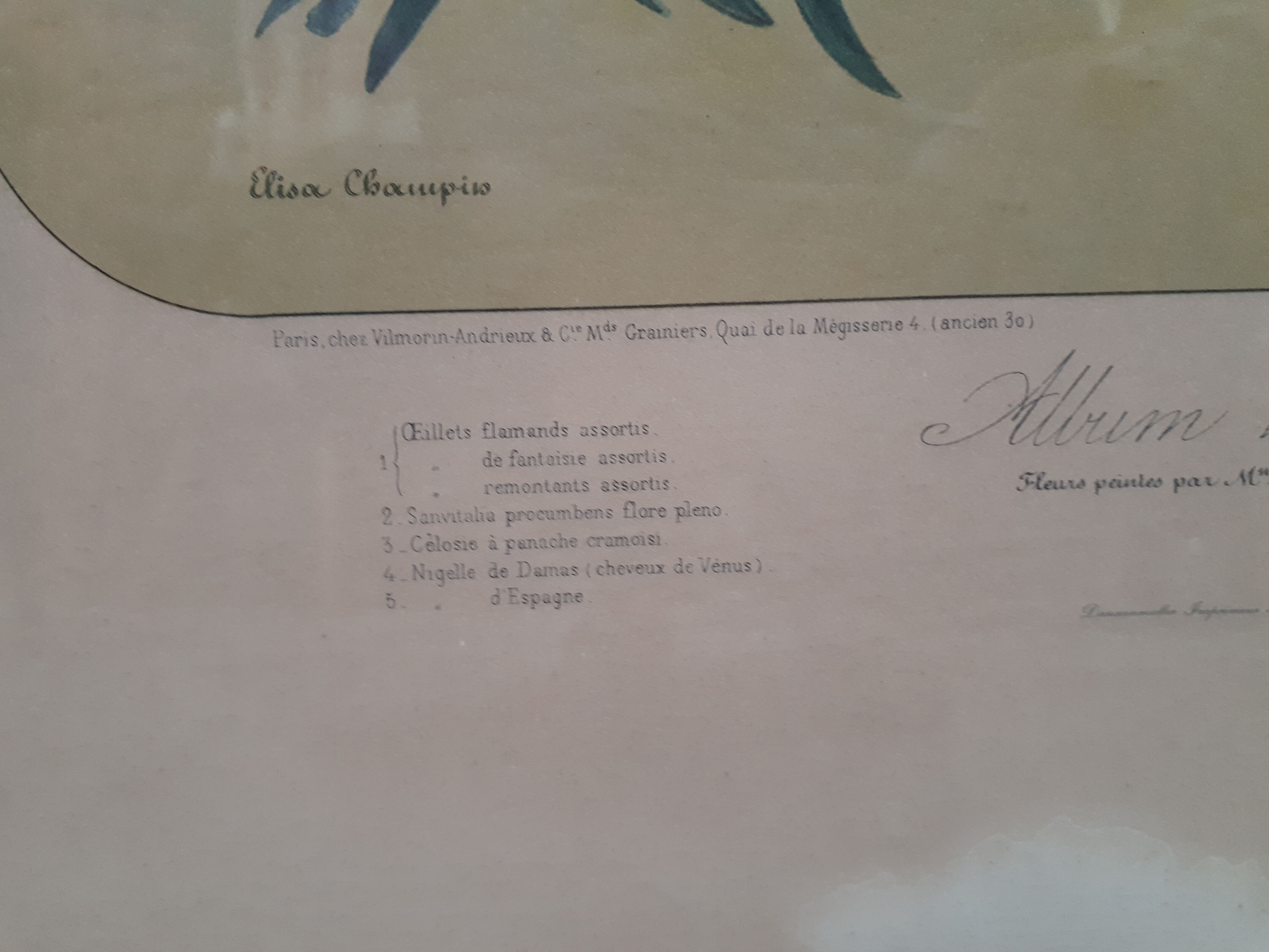 Poster ancient botanical flowers