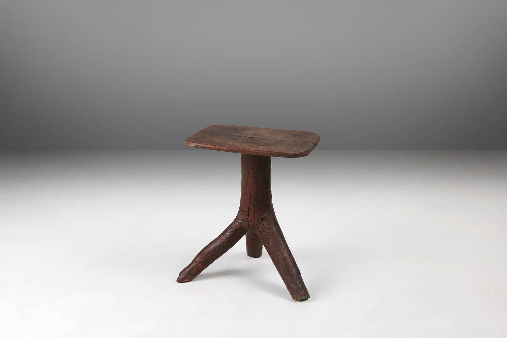Wooden Stool with Tree Branch Legs, France 1850s