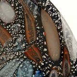 Black Murano Glass "Tutti Frutti" Ashtray / Vide-Poche attr. to Avem