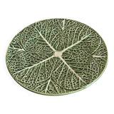 Large cabbage plate