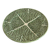 Large cabbage plate