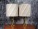 Pair of vintage Hoffknecht light lamps