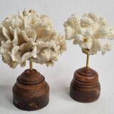 Pair of antique corals on turned wooden bases, 13 cm