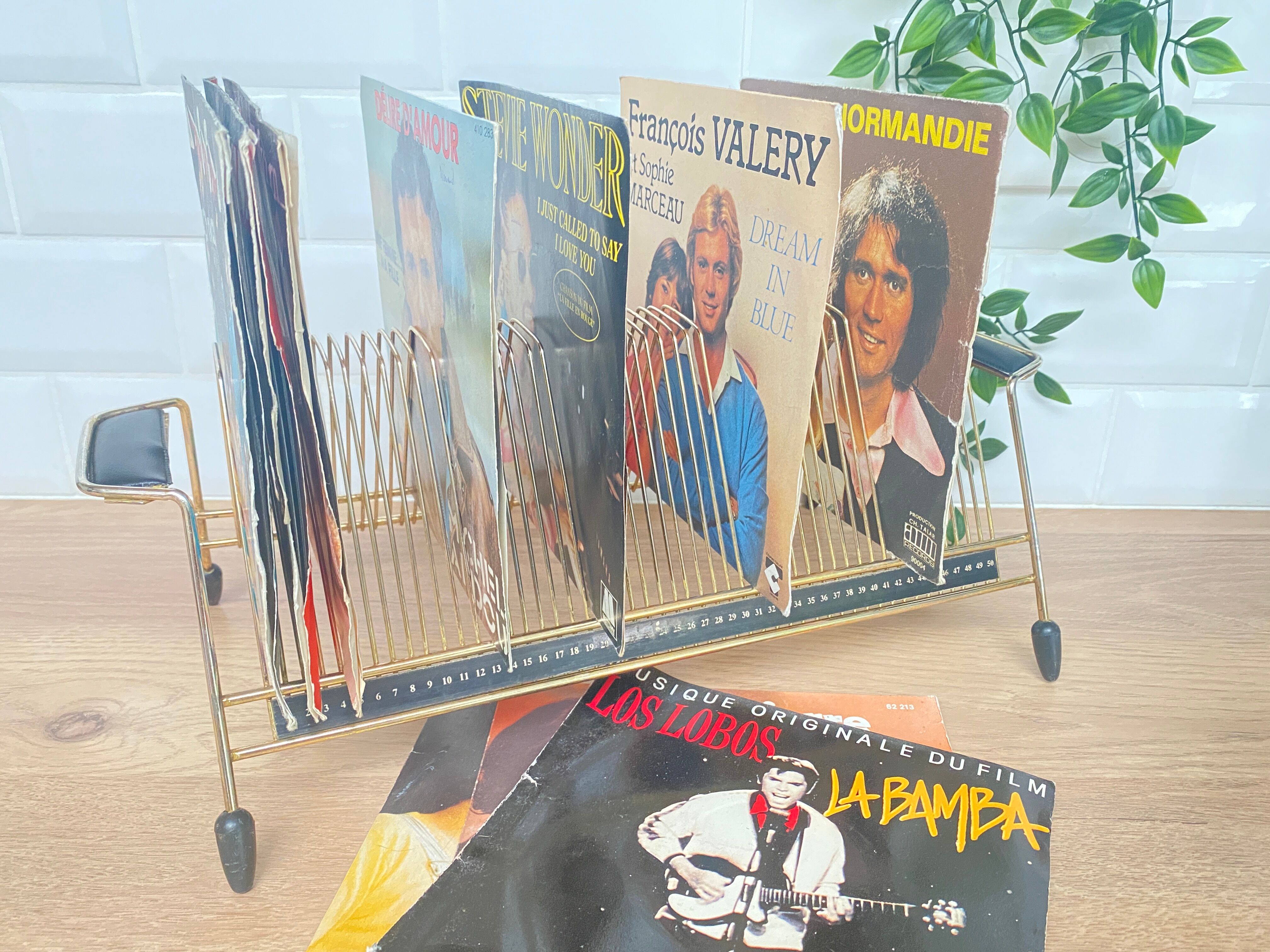 Vinyl records holder from the 50s-60s