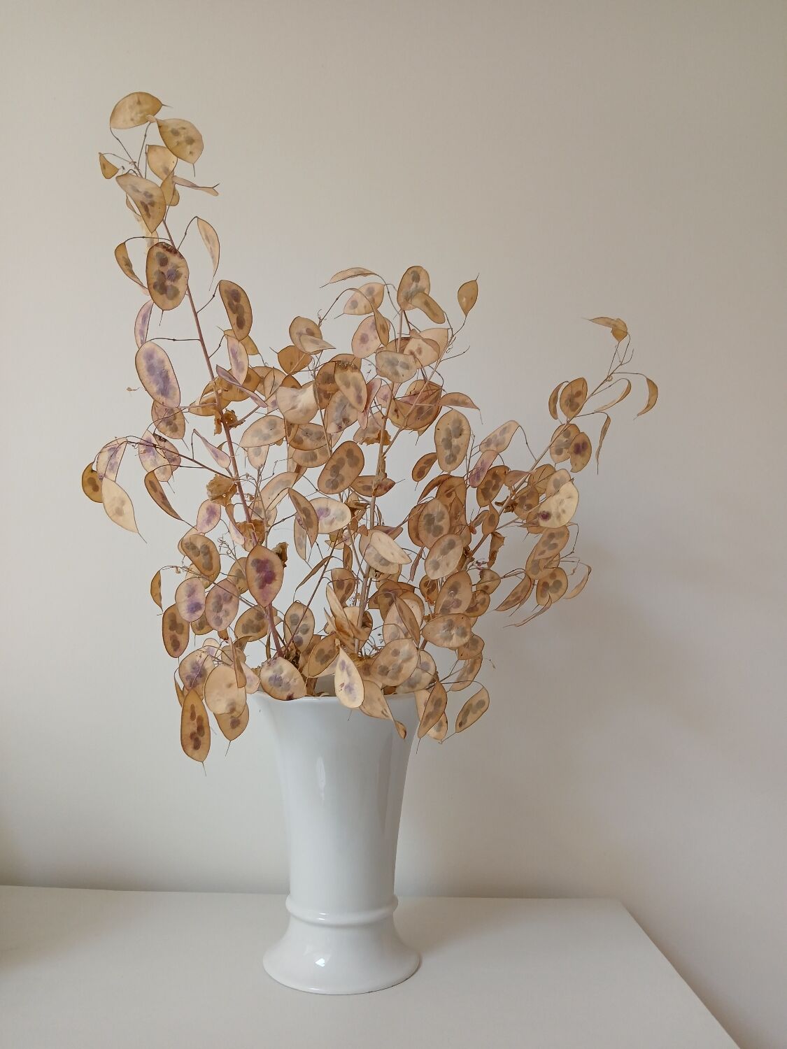 White porcelain vase