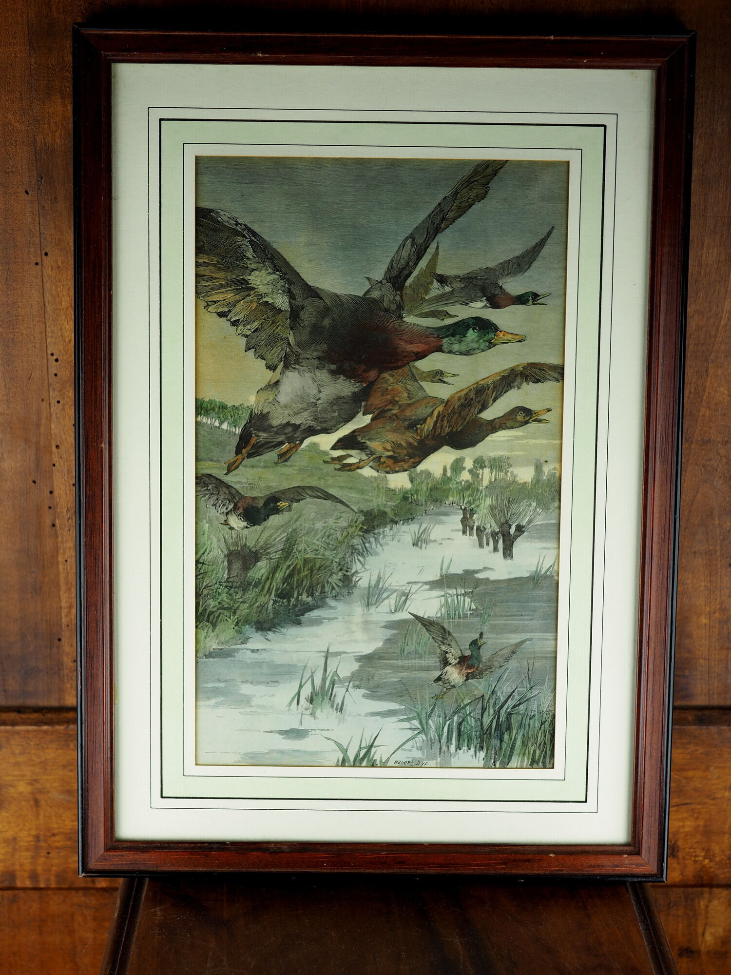 Flight of ducks, marshes and tetard willows - chromolithography Jules Habert-Dys - 1880