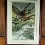 Flight of ducks, marshes and tetard willows - chromolithography Jules Habert-Dys - 1880