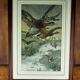 Flight of ducks, marshes and tetard willows - chromolithography Jules Habert-Dys - 1880