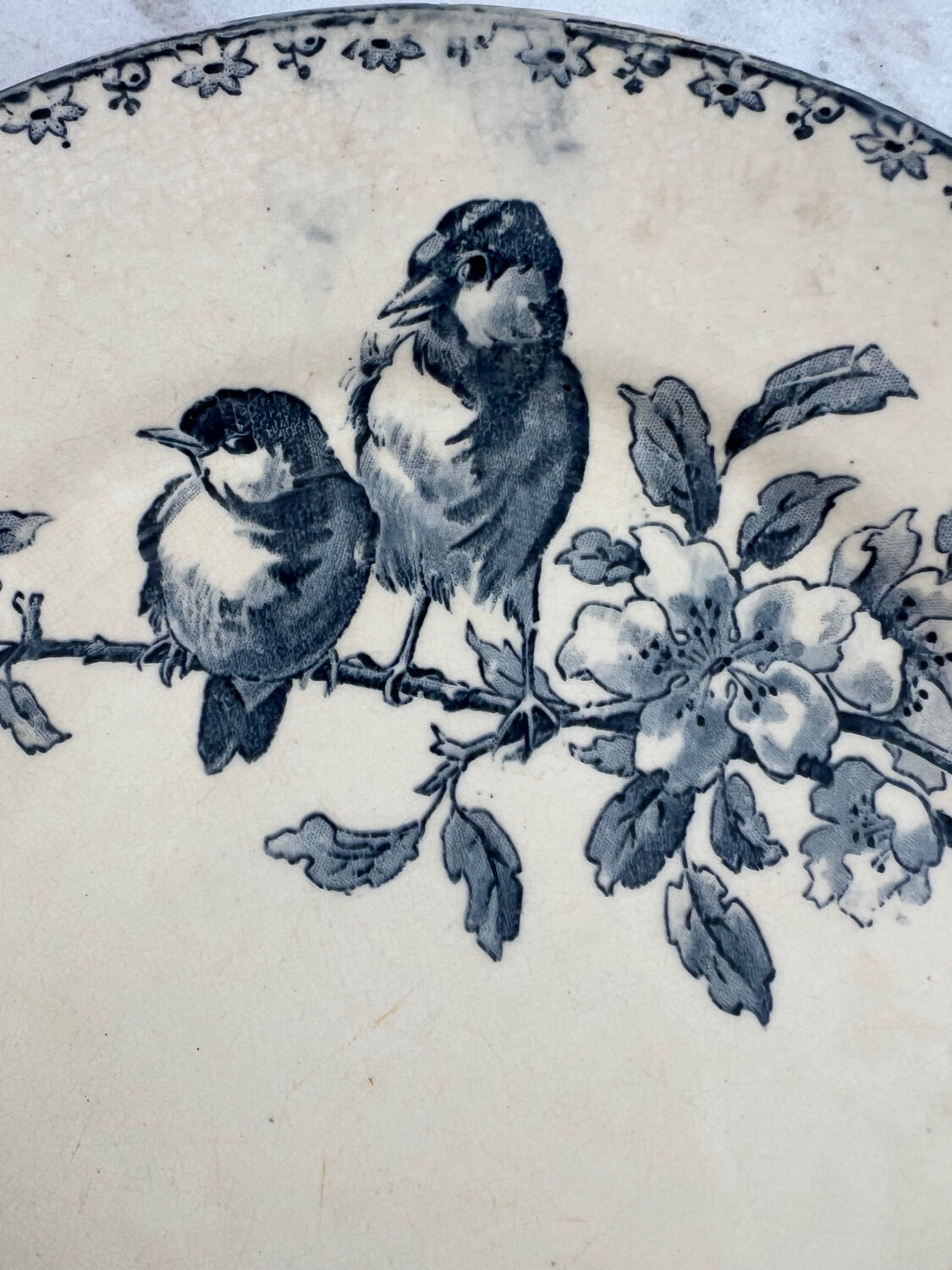 Set of two ironstone plates Sarreguemines Digoin favourite