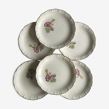 Series of 6 vintage flat plates