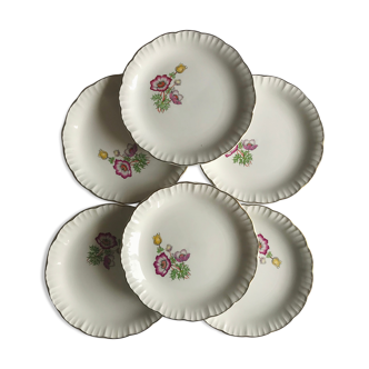 Series of 6 vintage flat plates