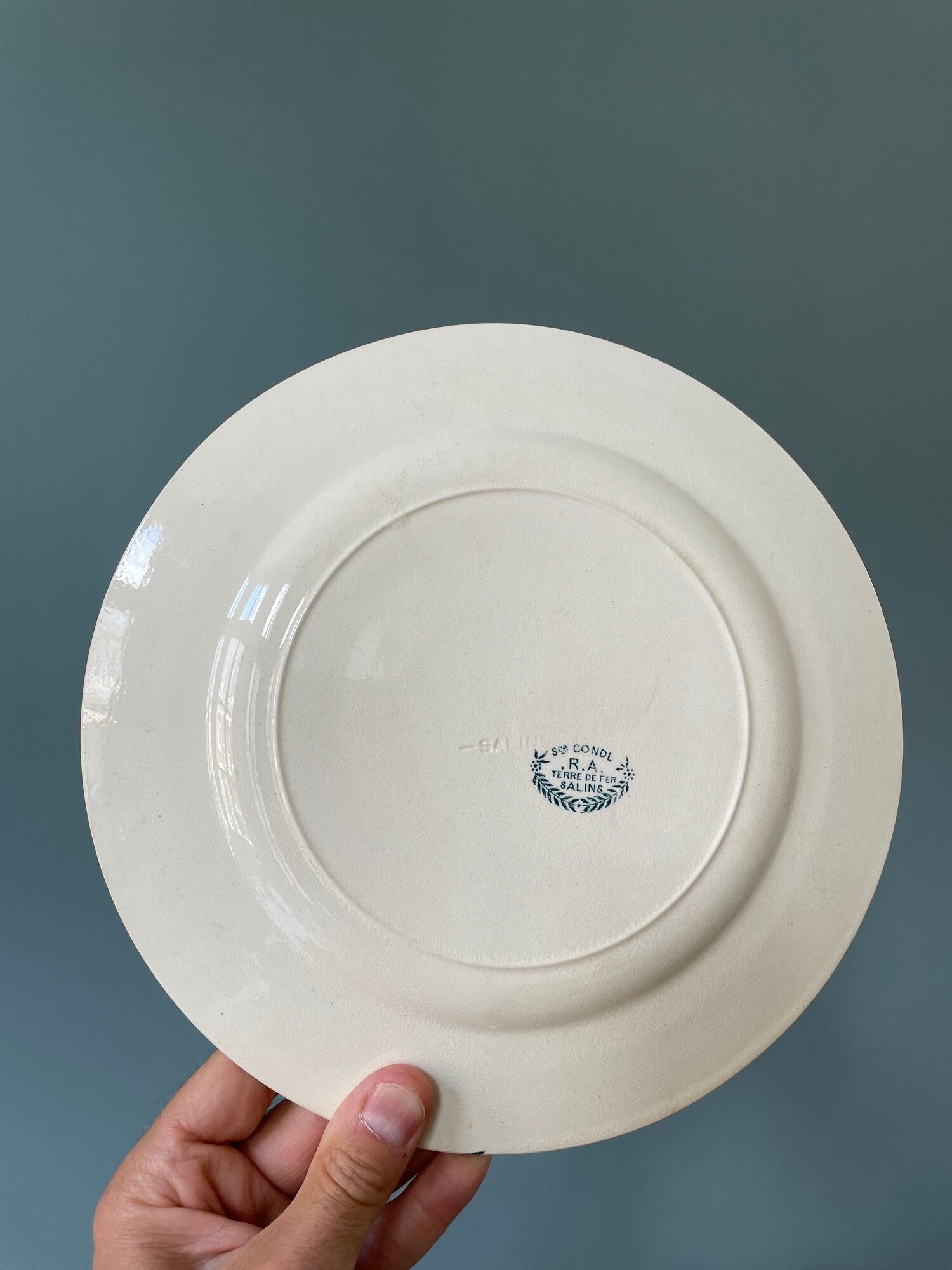 Set of 16 flat plates Terre de Fer, Service Condé Salins