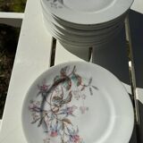 12 Dessert plates + presentation plate