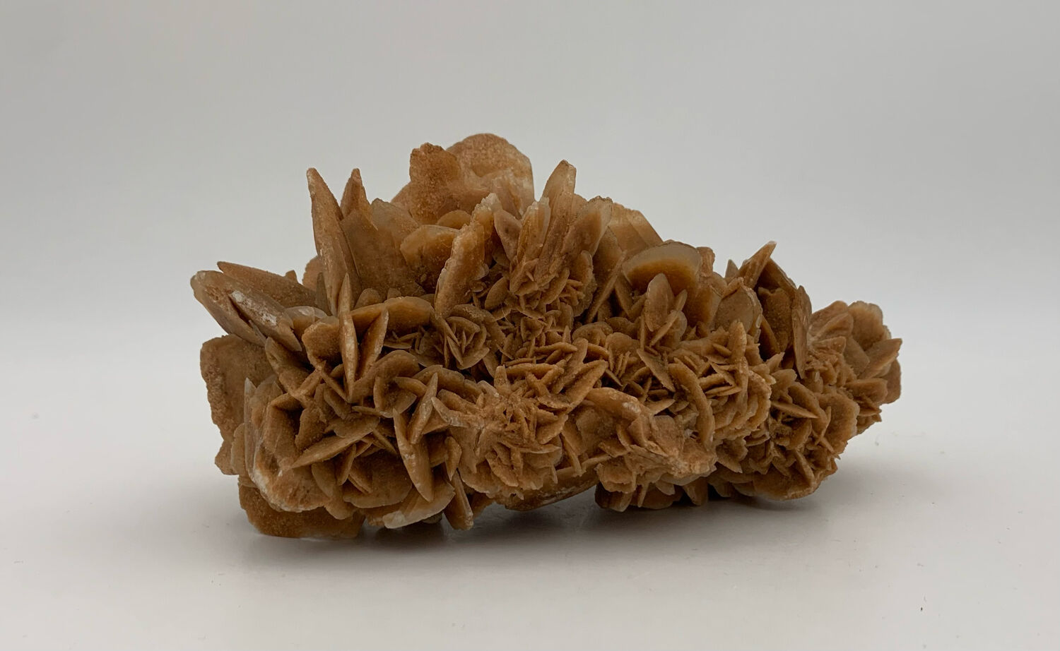 Sand rose, 555 grams, 16 cm x 9 cm