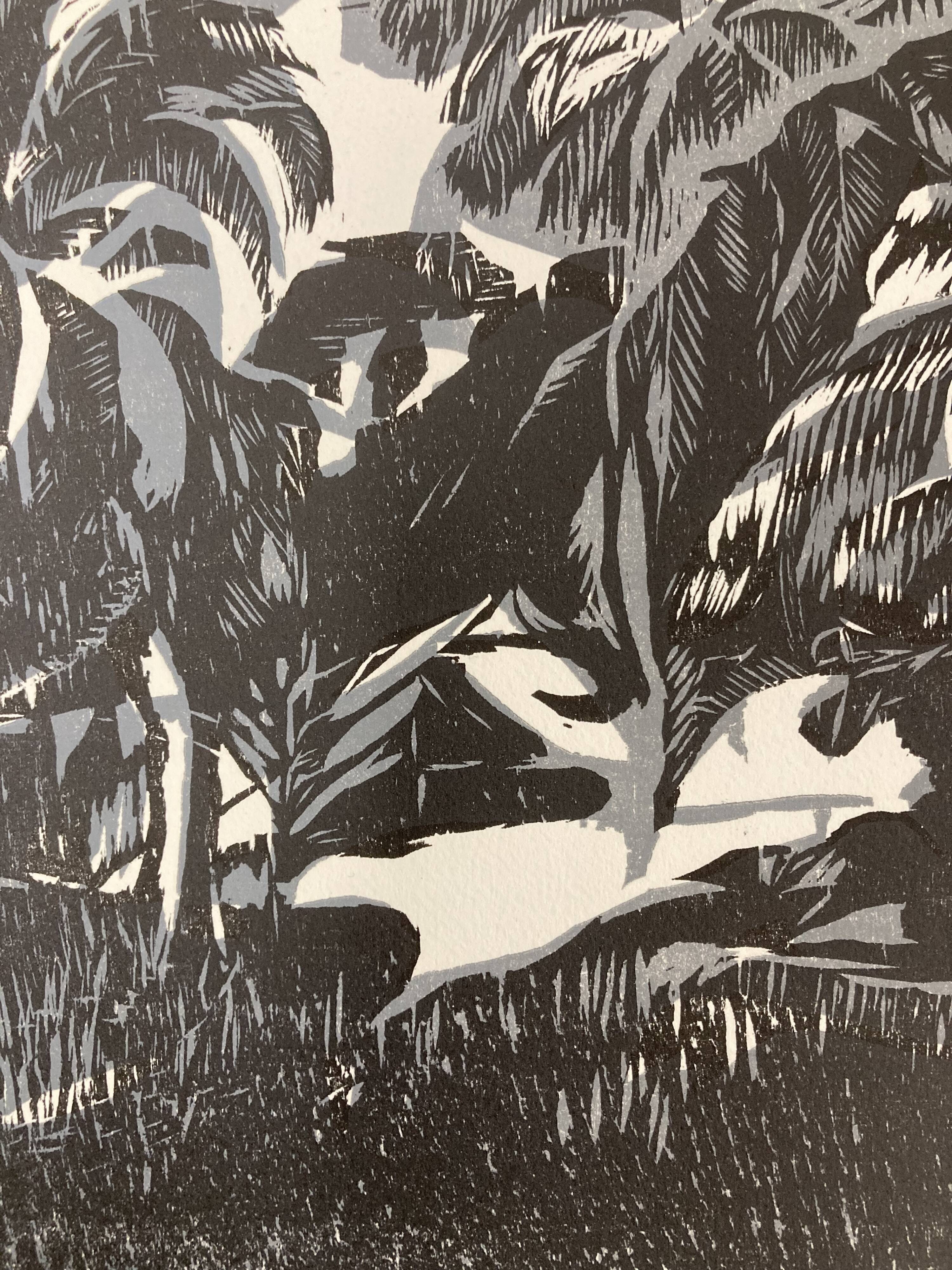 Illustration Le Bois des Cocotiers