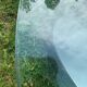 Coffee table Knut Hesterberg