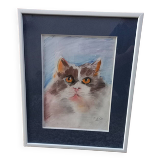 Pastel cat frame
