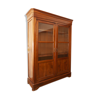 Beautiful mid-19th century wooden glass library