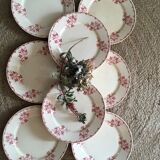 8 flat plates iron earth U&C Sarreguemines Digoin " Margot"