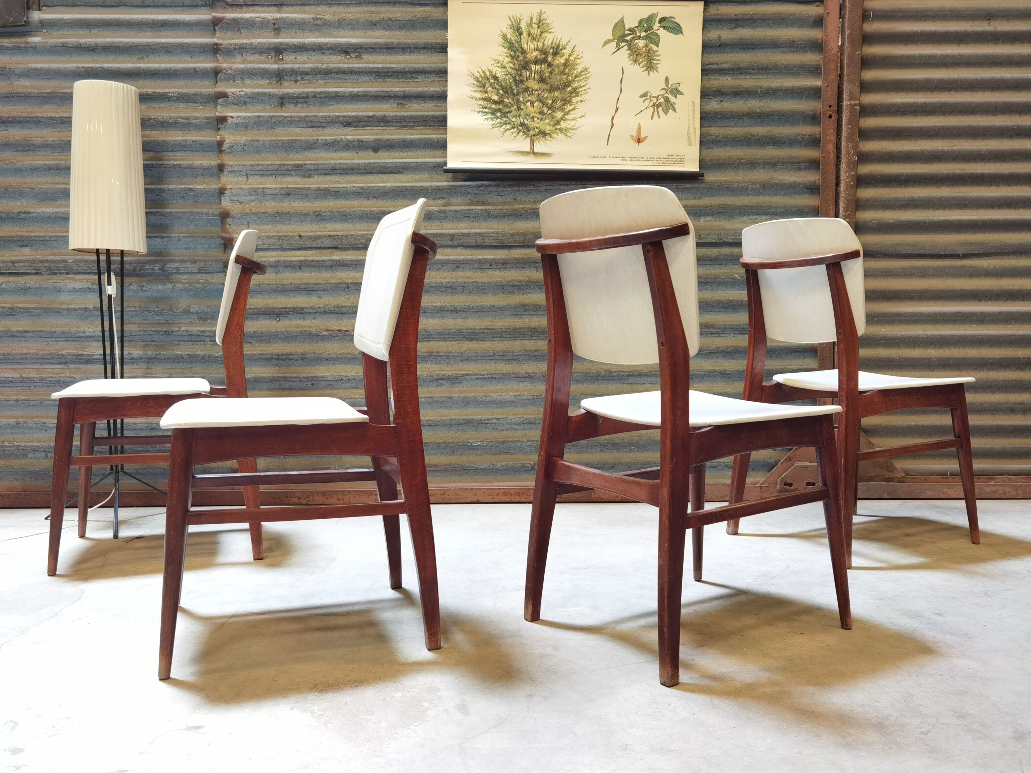 Lot de 4 chaises allemande Kondor Möbelwerk 1960