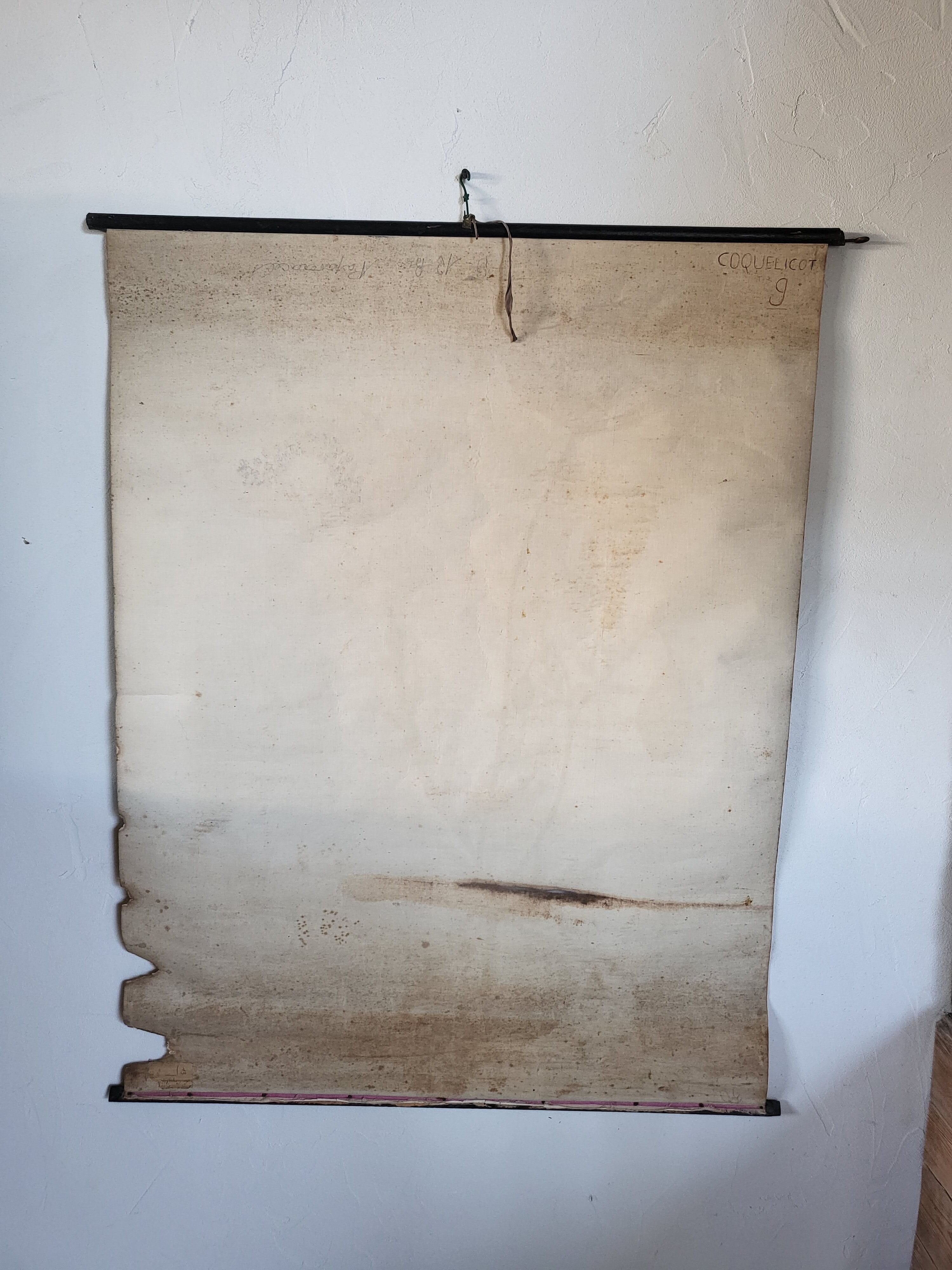 Old Deyrolle educational poster