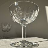 Baccarat Champagne Coupe Cassino Model Several Available