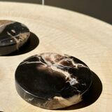 Set of 4 fossilized wooden coasters