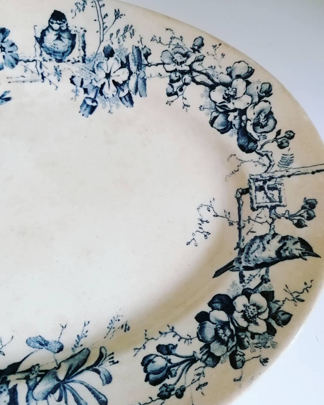 Ancient dish made of blue iron earth, birds, large depot Paris, 19th century