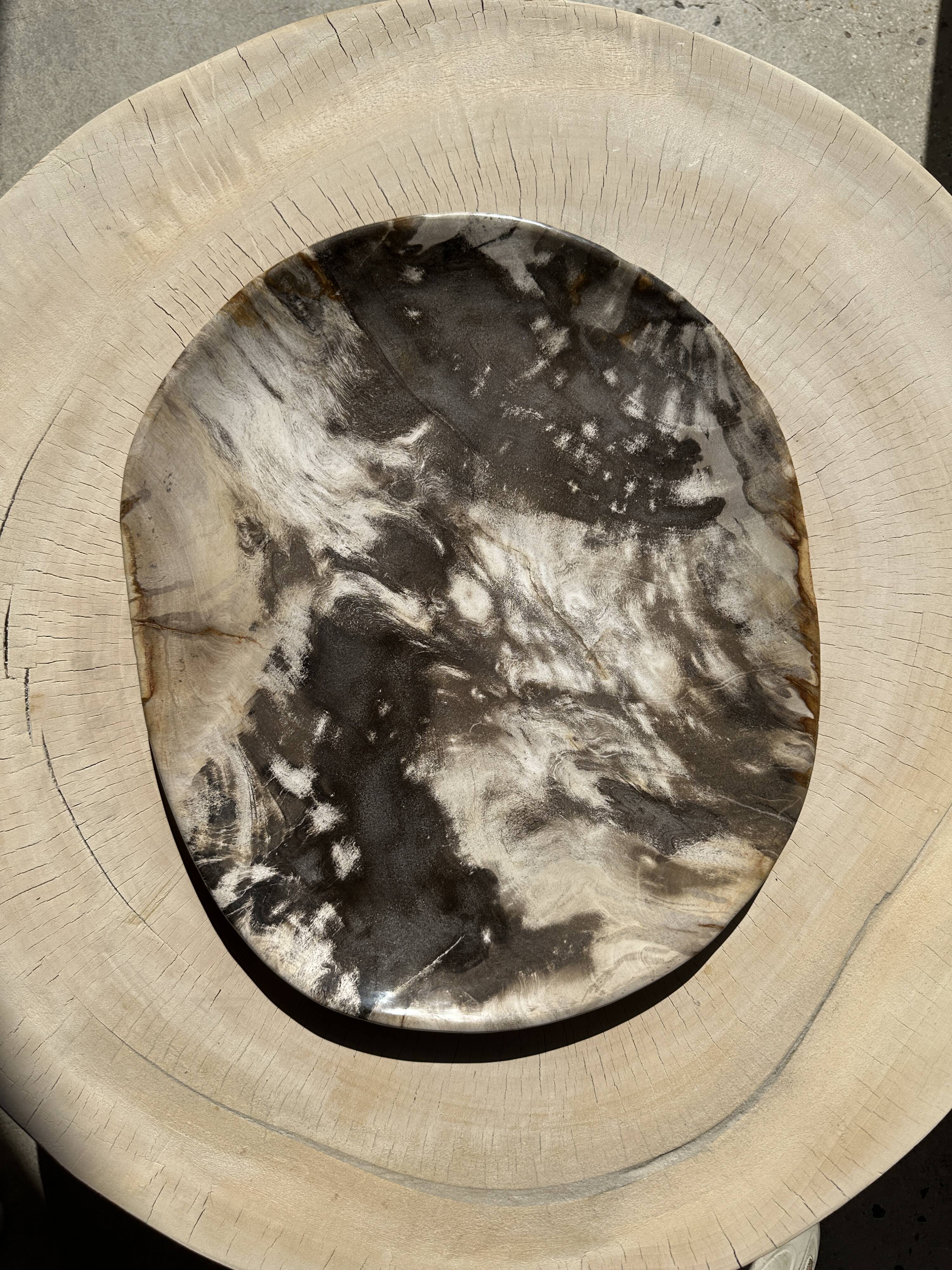 Very large pocket or dish in petrified wood