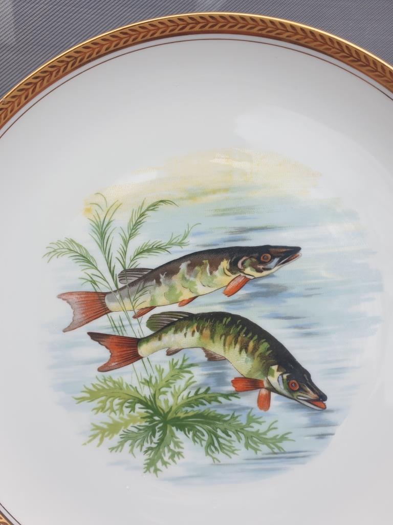 Set 12 plates porcelain fish edge laurel gold Bernardaud