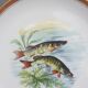 Set 12 plates porcelain fish edge laurel gold Bernardaud
