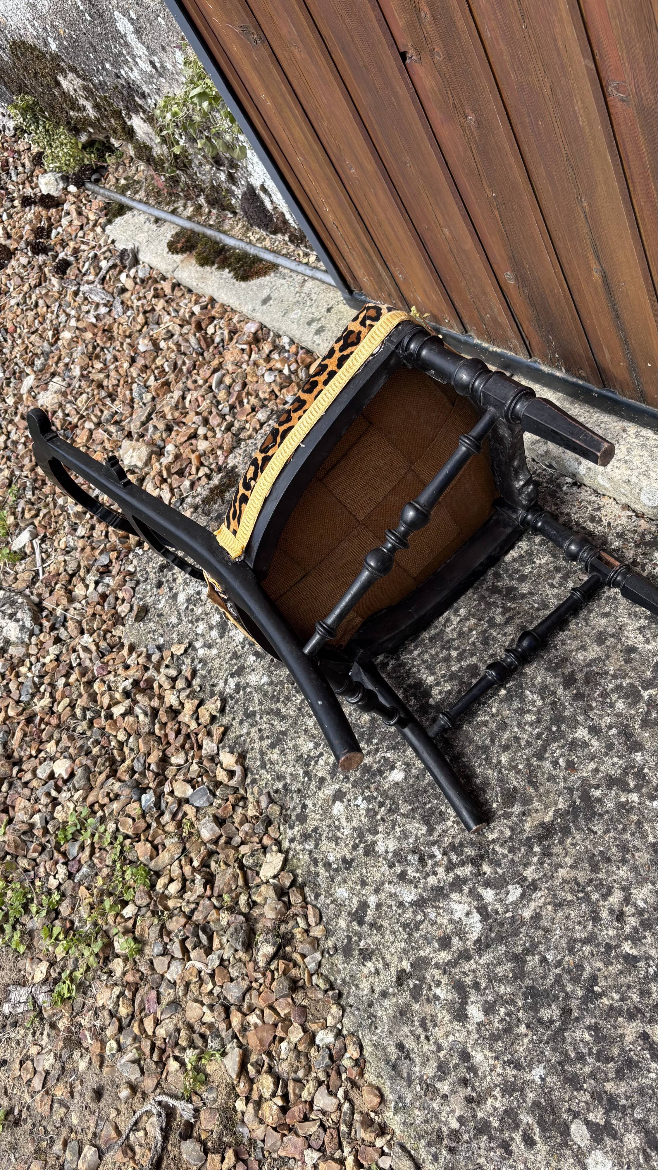 Napoleon III chair reinterpreted – Leopard seat & patinated black wood