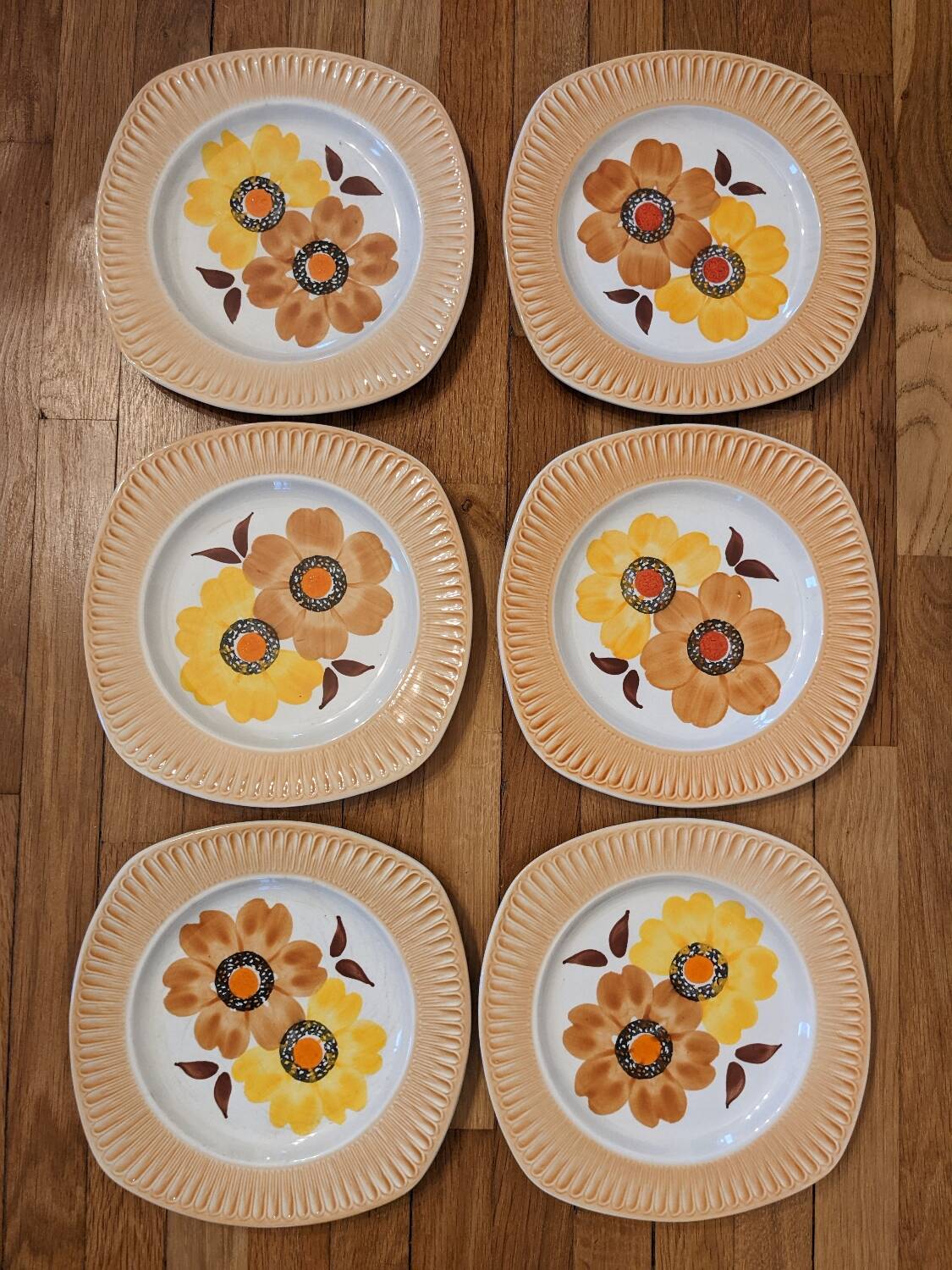 6 Mondovi plates
