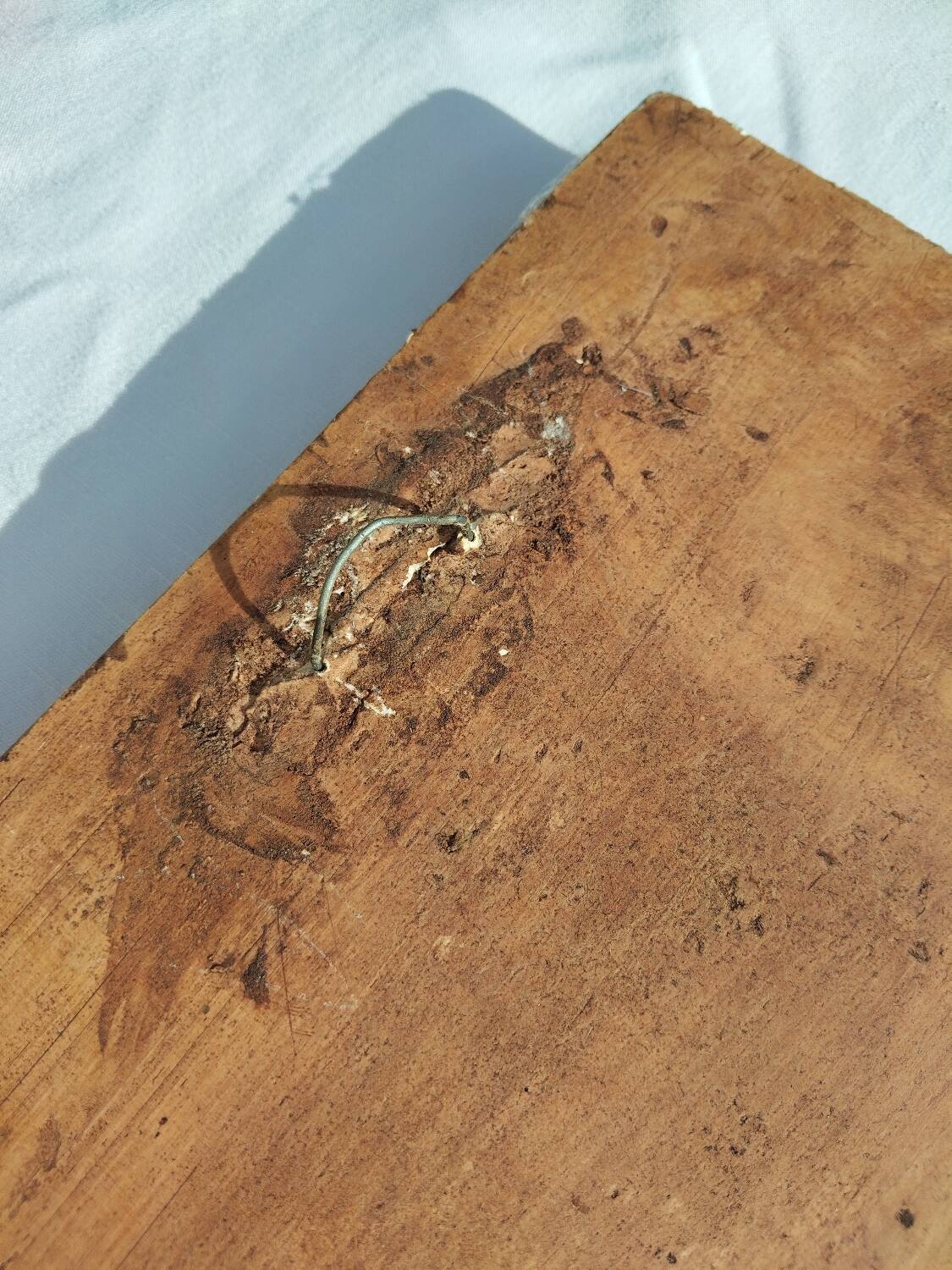 Bas-relief plaster scene of horses and a cart.