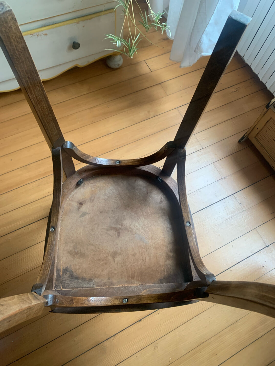 Set of 4 "Bandeau" bistro chairs in bent beech, Thonet style – 1